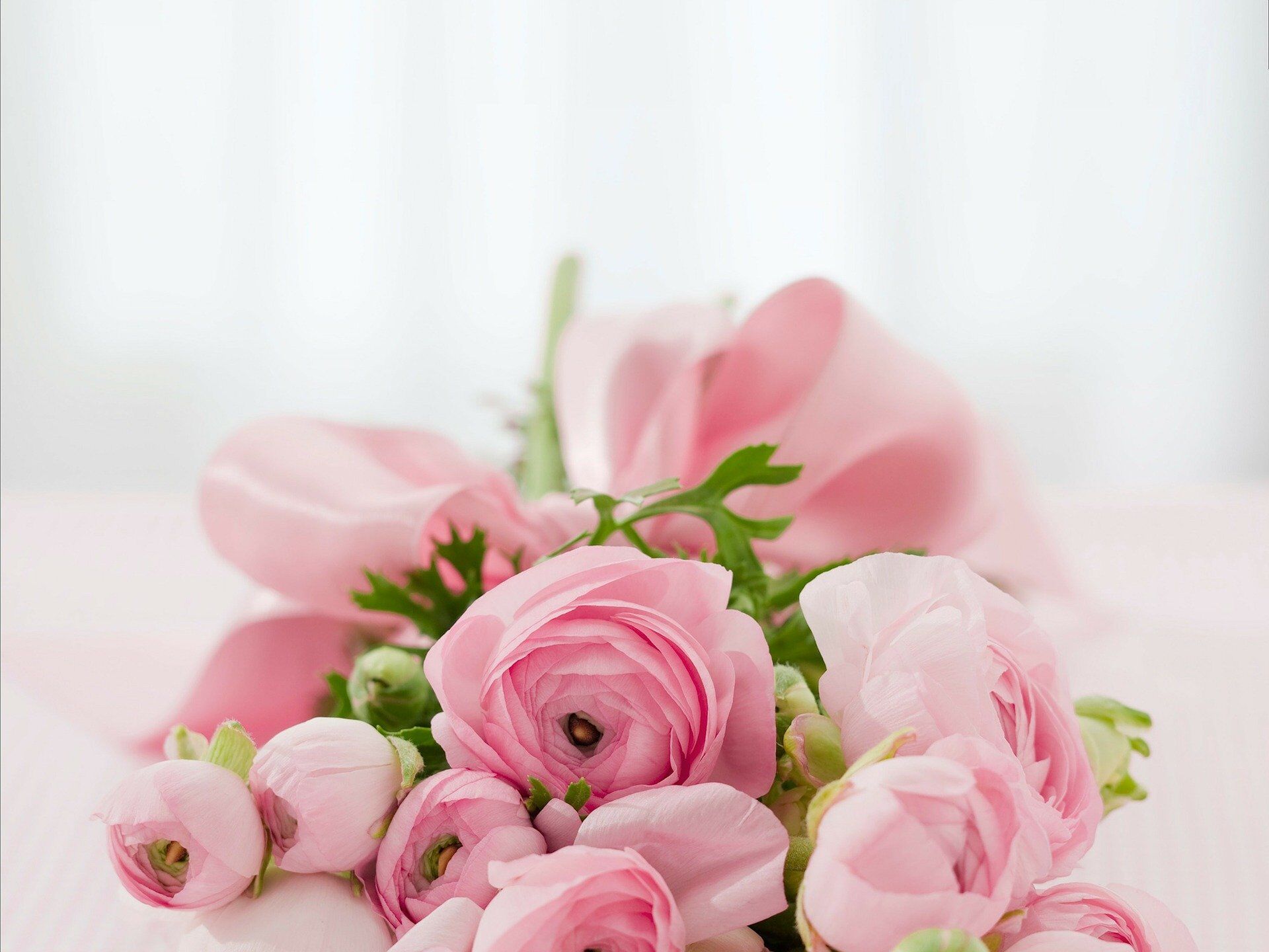 bouquet-g7d5309aaa_1920